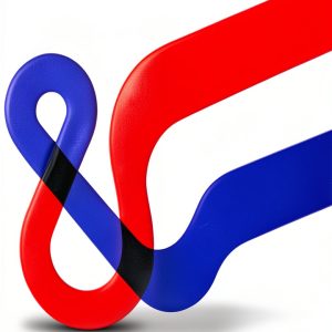 Democracy in Action: A Rare Treasure Editions Kindle Book-0